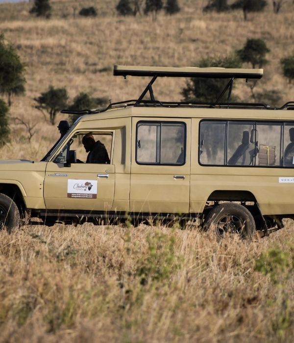 Chakura Afrika Safari Car