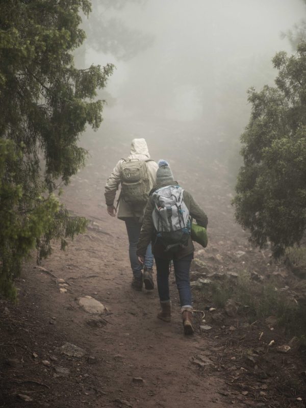 back-view-campers-with-backpacks