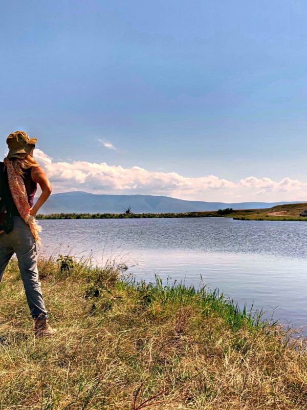 full-length-rear-view-woman-standing-grass-by-lake-against-sky