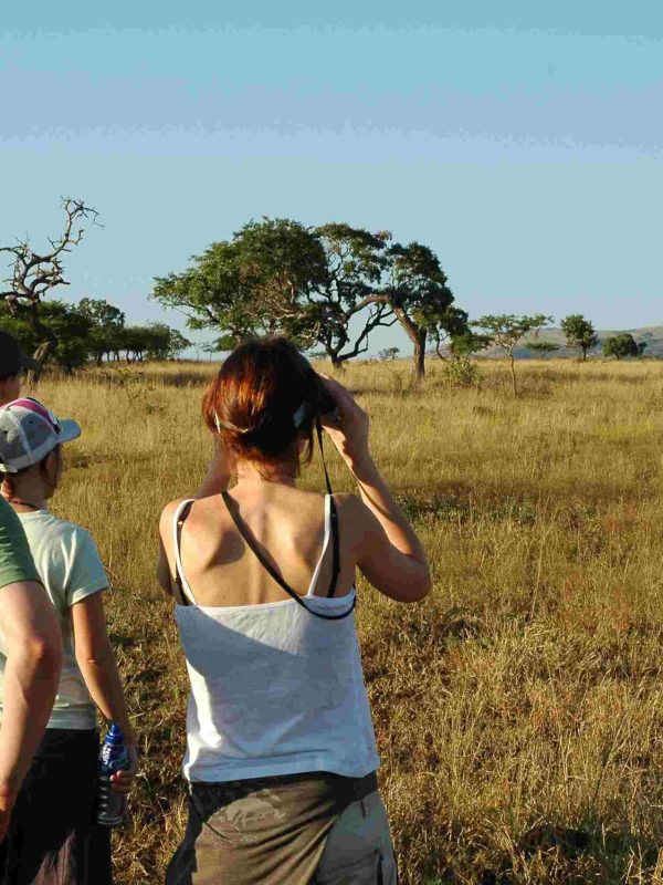 guests-n-early-morning-wilderness-walk