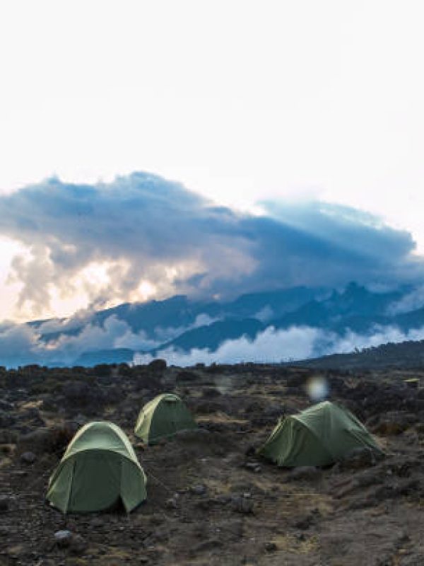 Shira Camp at Machame Route, Kilimanjaro National Park, Tanzania