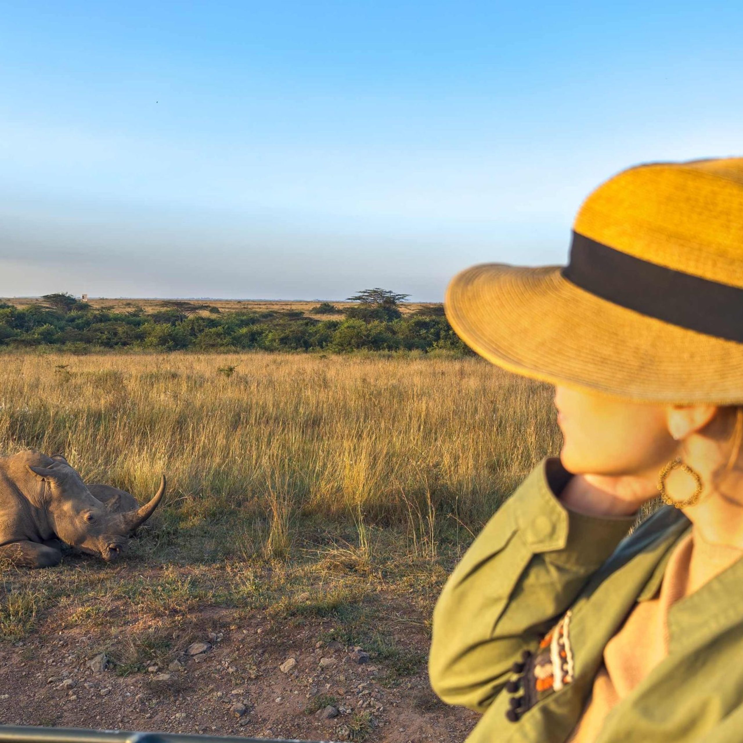 Safari holiday. Blond woman watching african elephants from roof of a safari car. Family on safari holiday in Amboseli national park. Wildlife photography in Kenya, Tanzania.